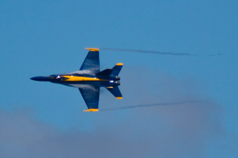 1/2000 sec at f / 5.6 300 mm ISO 400